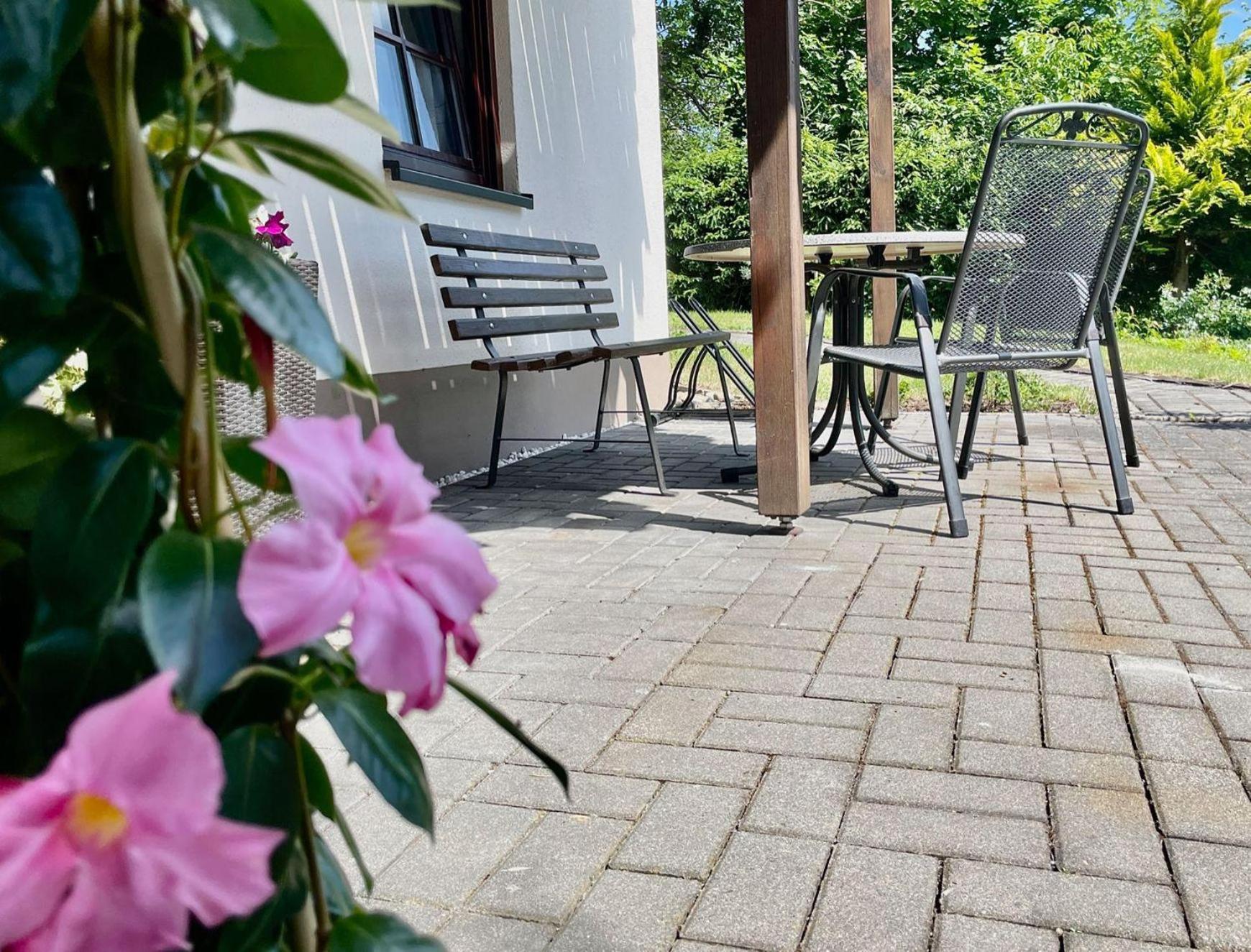 Ferienwohnung-Am-Suedhang Muglitztal ภายนอก รูปภาพ