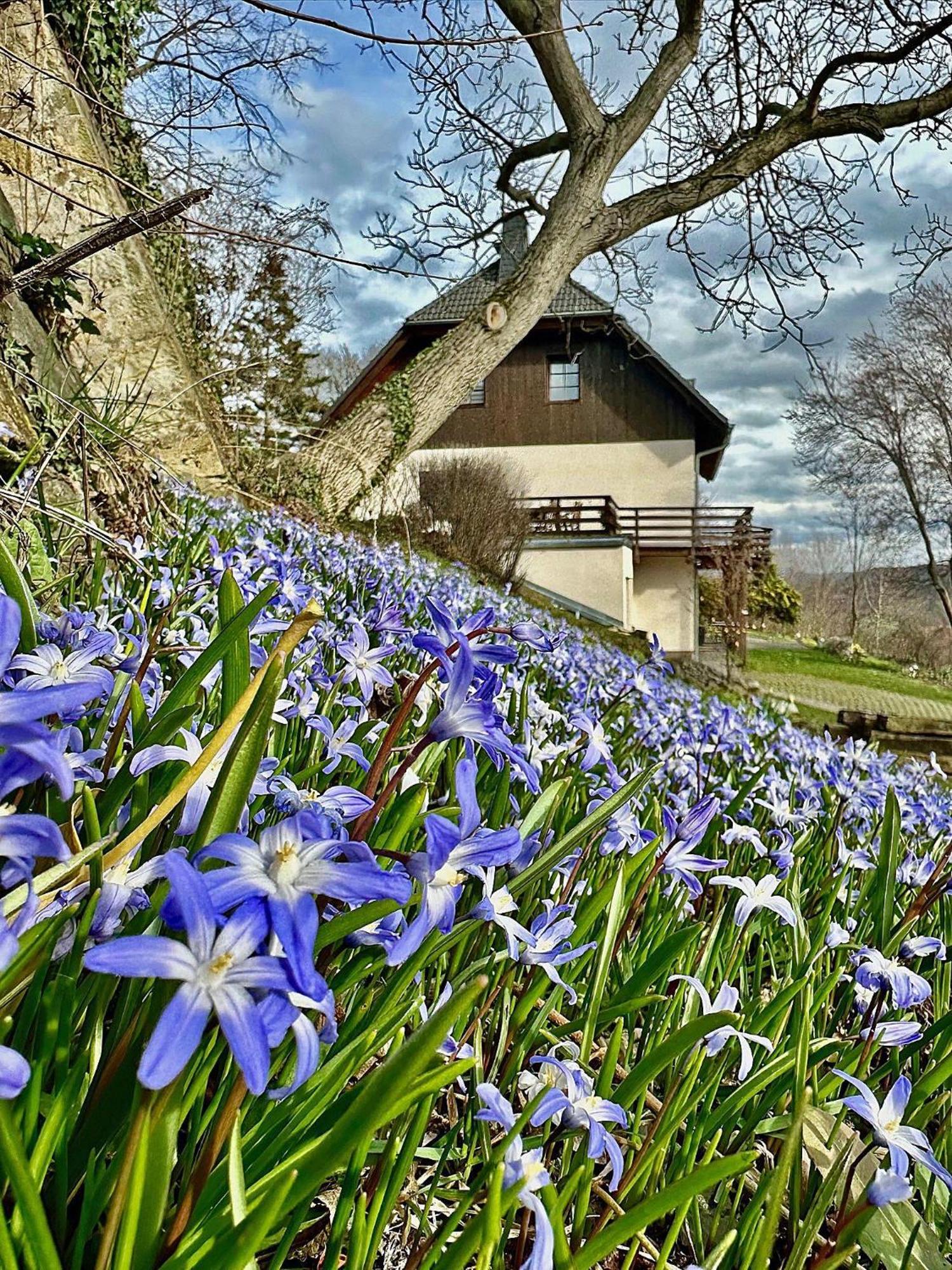 Ferienwohnung-Am-Suedhang Muglitztal ภายนอก รูปภาพ