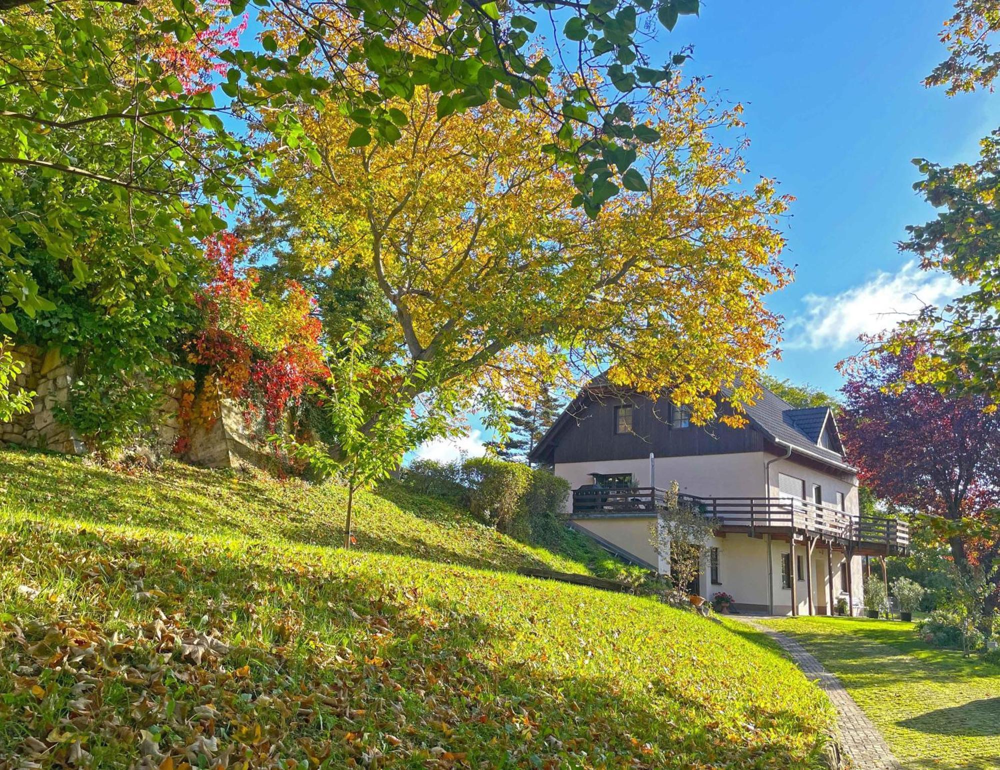 Ferienwohnung-Am-Suedhang Muglitztal ภายนอก รูปภาพ