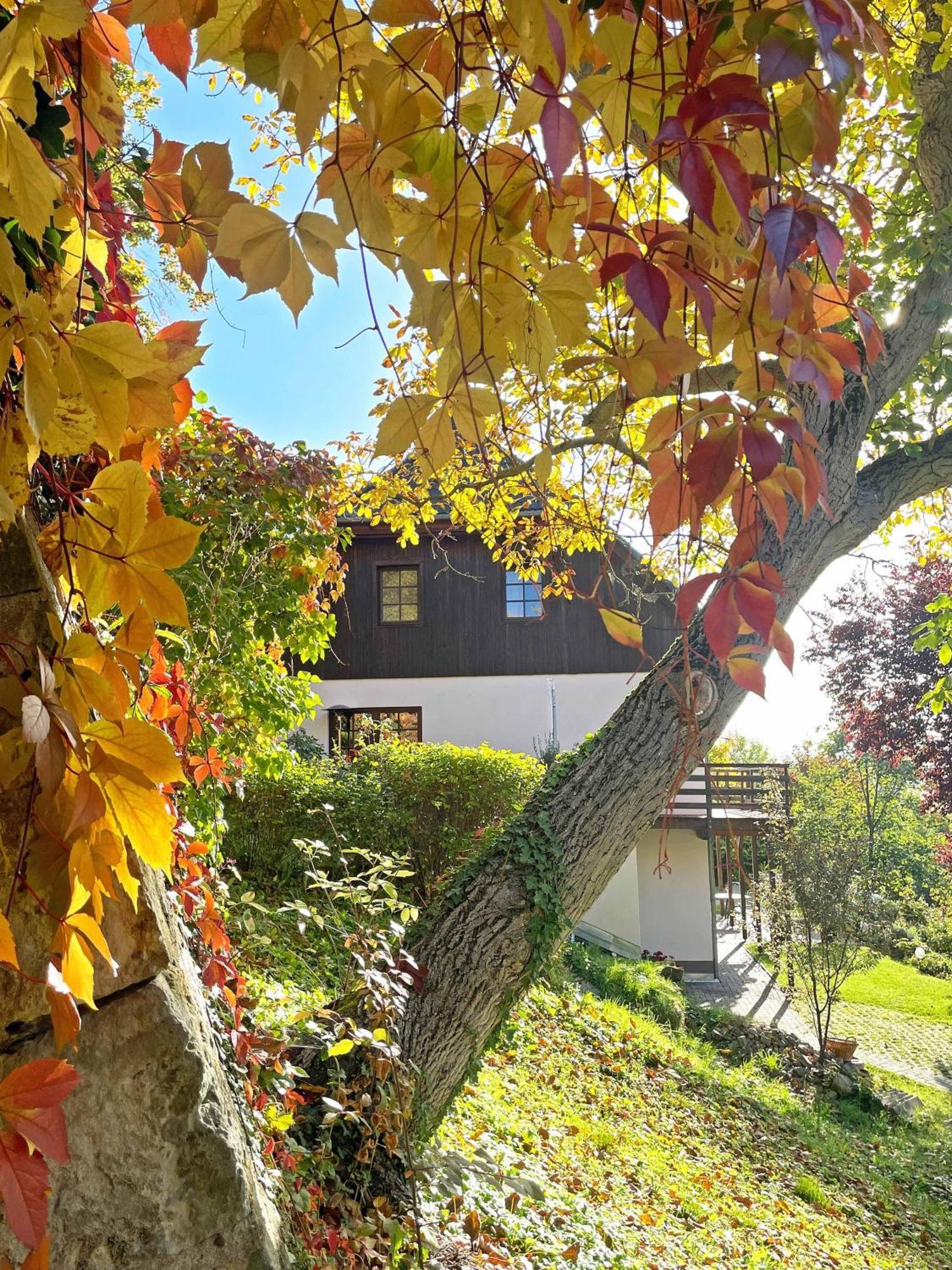 Ferienwohnung-Am-Suedhang Muglitztal ภายนอก รูปภาพ